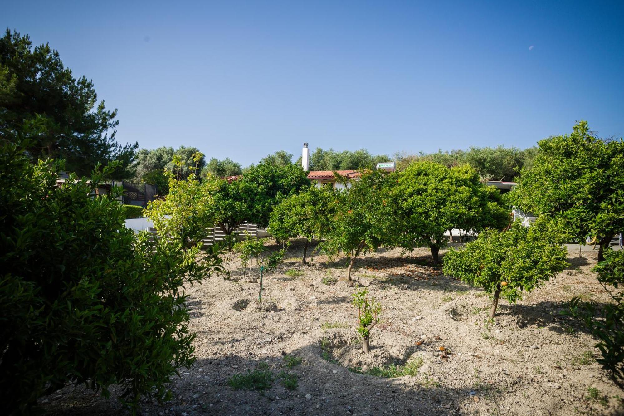 Villa Metochi Rethimnon Buitenkant foto
